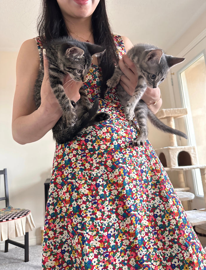 Abbie holding one of our bbcat guests — we get to know every cat by name before they arrive
