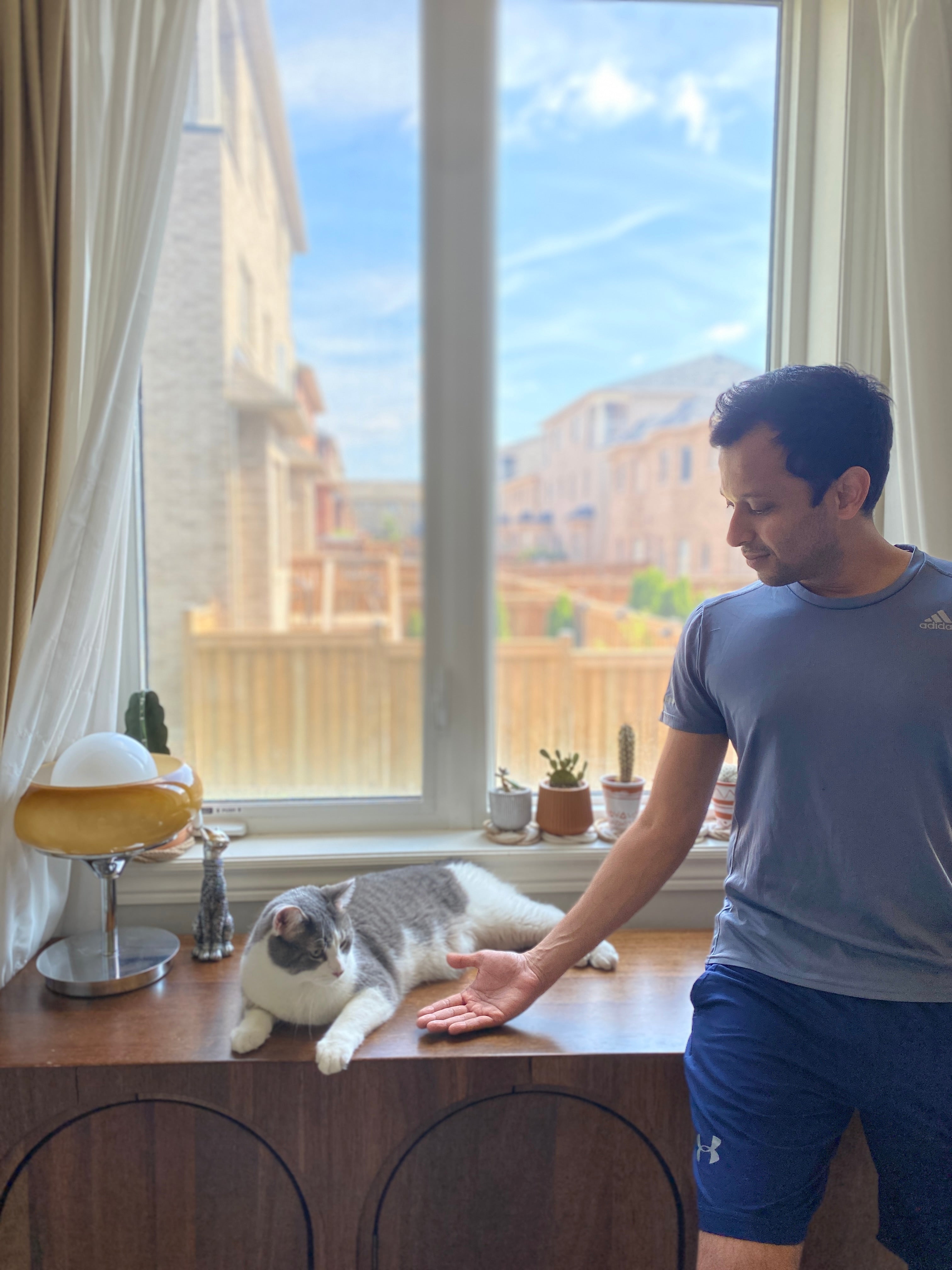 Munib, bbcat co-host, with a tabby cat at the window