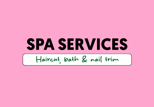 Number of spa sessions